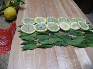 img_40712 img_40712