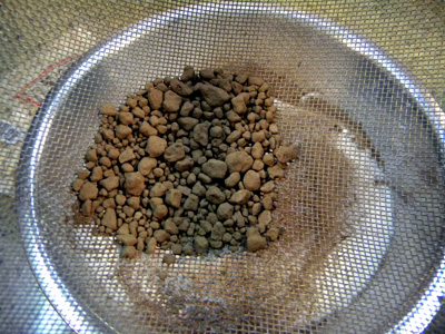 clumps of cocoa in sifter