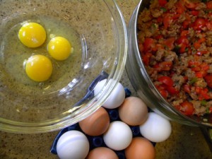 dozeneggs