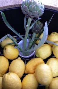 sink of lemons