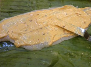 spreadmayo
