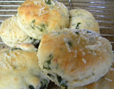 Parmbiscuits