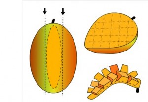 mangodirections