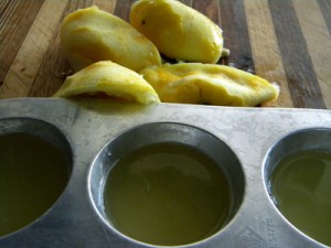 lemoncubes