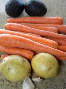 avocarpotgar