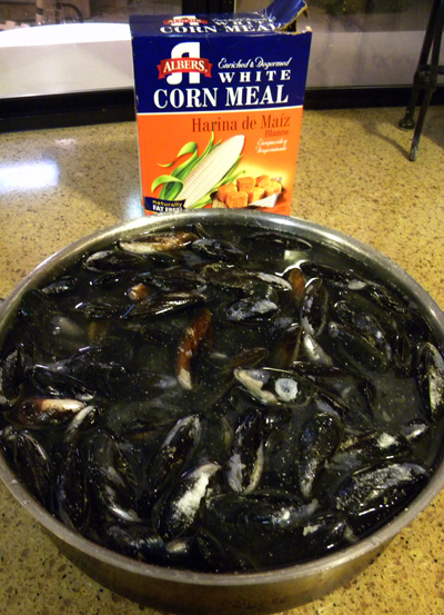 gritvscornmeal
