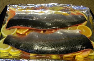 salmononcitrusbed