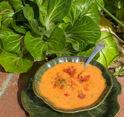 spicytomatosoup