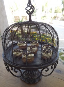 cheesecakesinacage