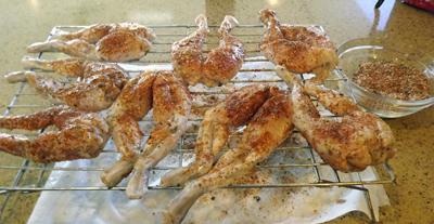 spicedlegs