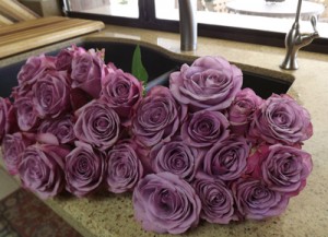 2dozroses