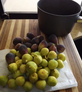freshfigs