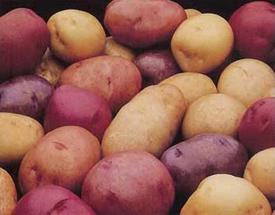 potatomix