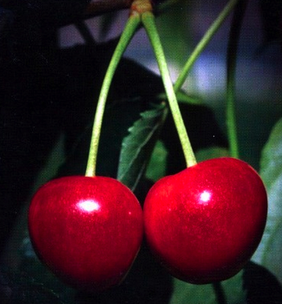 2cherries
