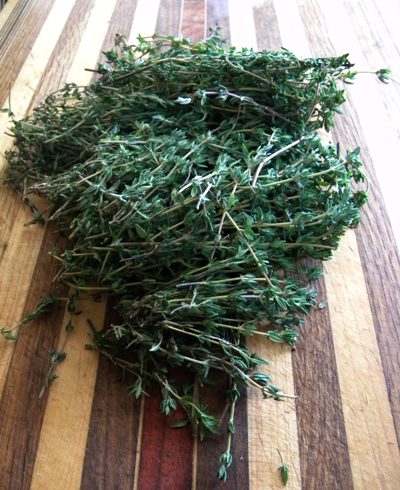 tonsofthyme