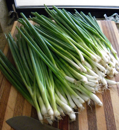 whole green onions