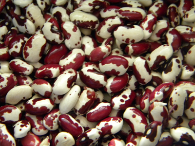 anasazibeans