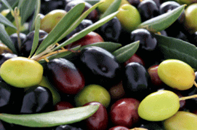 mixed olives