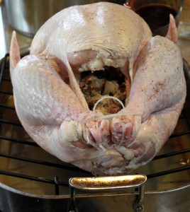 stuffed