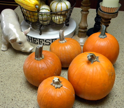 5pumpkins