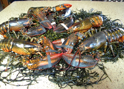 1:2 dozen lobsters