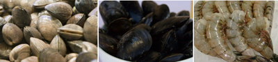 clammusselshrimp