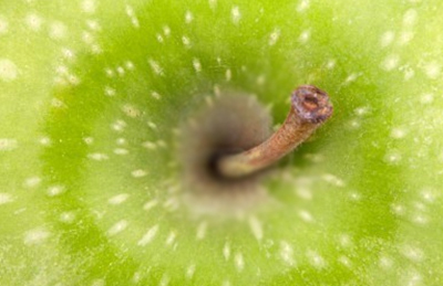 greenapple