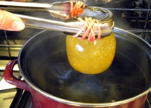 bandedtongs