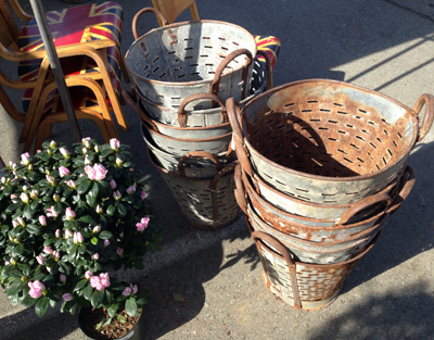 olivebaskets
