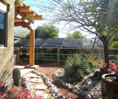 sandy'sgarden