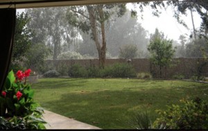 rain