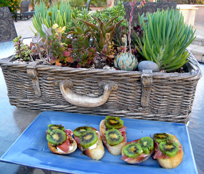 succulents