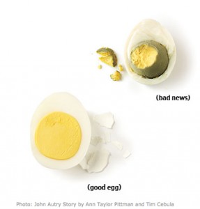 goodegg