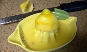 lemonjuicer