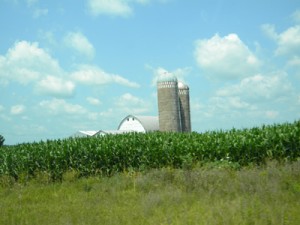 DSCN5669