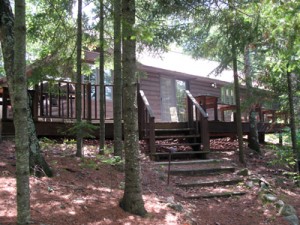 Visis Hopkins' Old Cabin (9)