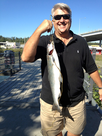 salmon