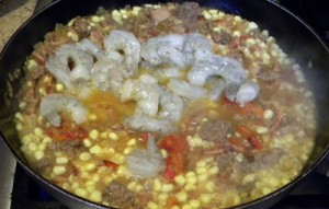 shrimptoma