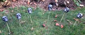 6skulls