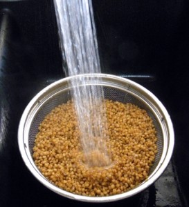 drainandrinsewheatberries