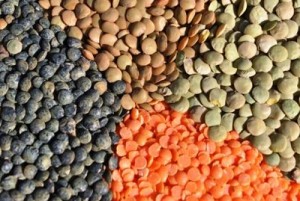 lentils