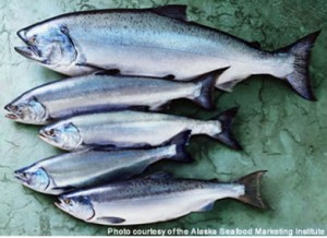 5alaskansalmon