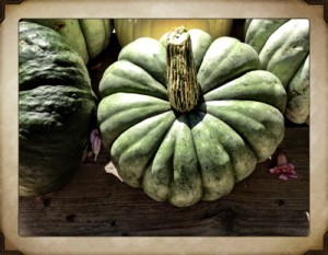 Jarrahdale pumpkins2