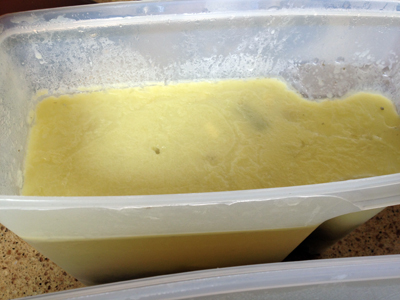 congealed fat