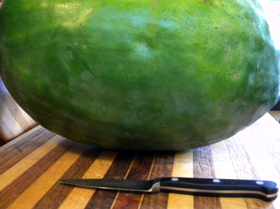 massivewatermelon