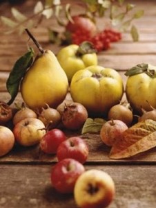 pears and apples