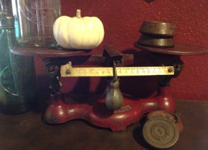 scale closeup