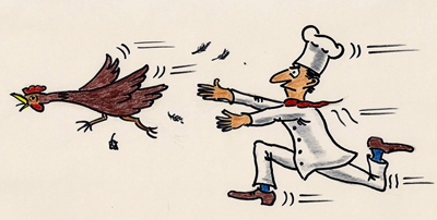 fly turkey fly!