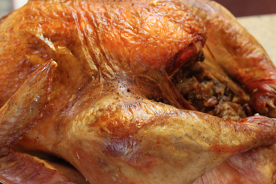 gobbler