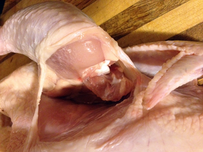 Wing Joint